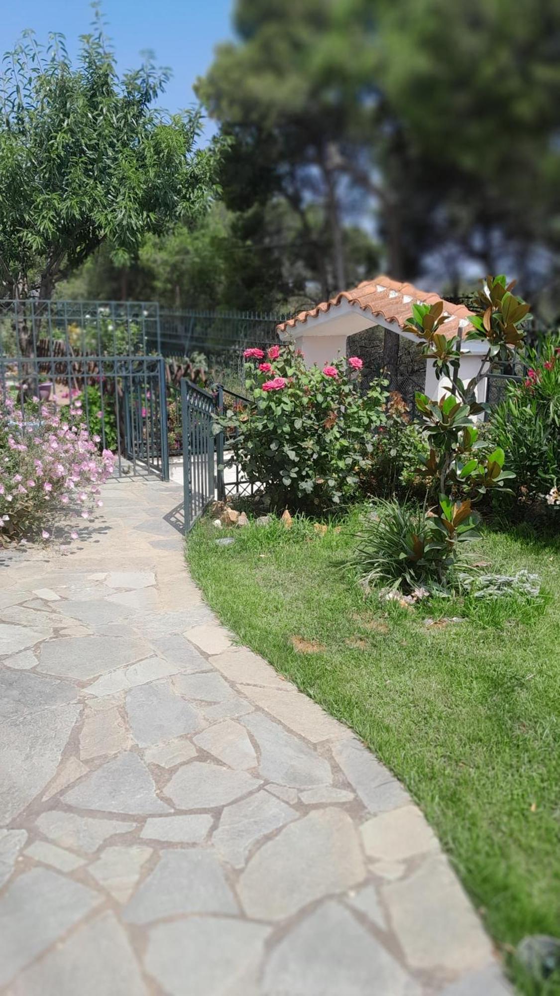 Paradise Dhaskalion Exterior photo